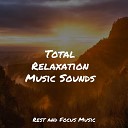 Nature Sounds Nature Music Natureza Musica Bem Estar Academia PowerThoughts Meditation… - Beach House Zen