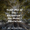 Yoga Soul M sica Relaxante Meditation Music… - Firs in the Forest