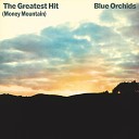 Blue Orchids - A Year With No Head