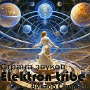 Elektron tribe Виктор Смирнов - Страна звуков Radio Edit