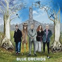 Blue Orchids - Rocket To Stardom