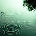 Calm Music Masters Relaxation - Reduce Muscle Tension
