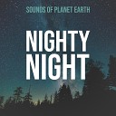 Sounds of Planet Earth - Soothing Thunder and Heavy Constant Rain in the…