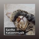 Katzenmusik - Feline Entspannende Melodien
