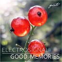 Electrosignal - It Was Just a Dream