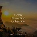 Ambient Music Therapy Yoga Sounds Ambient… - Seeking Pilgrims