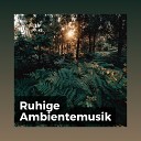 Entspannungsmusik - Beruhigende Melodie zum Entspannen