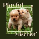 Calming Music For Dogs - Play Fetch
