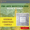Heinz Wehrle Pro Arte Motettenchor - Nun singet und seid froh