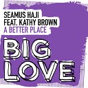 Seamus Haji feat Kathy Brown - A Better Place Extended Mix