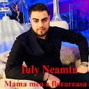 Iuly Neamtu feat Costel Biju - Ai O Fusta Cu Dulceata