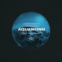 AQUAmono - Summer Friends