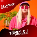 Tones I x Killjoy - Dance Monkey SAlANDIR Radio Version