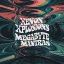 Xenon Xplosions - Electron Entropy