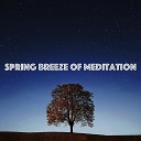 D M D Production - Spring Breeze of Meditation