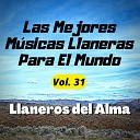 Llaneros del Alma - Campesino Fiestero