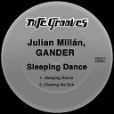 Julian Mill n GANDER - Chasing the Sun