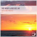The Husky - Moments Original Mix