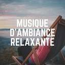 Music Relaxing - Peaceful Ambient Morning Pt 14