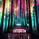 DESTRUM - Budapest Forest