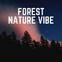 Organic Nature Sounds - Raining Love