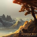 Unlistened Wind - Searching for the Stars