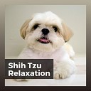 Sleeping Music for Dogs - Calming Music for Stressed Dogs Pt 10