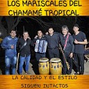 LOS MARISCALES DEL CHAMAME TROPICAL - Al Otro Lado de la Tablada Gato Moro Crece el Rio Jinete de San…