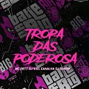 Dj Will Canalha MC Pett DJ DANZIN - Tropa das Poderosas