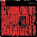 DJ Vadim Bayc Zumbi Abstract Rude IRAH - Young N Powerful Liondub Jah Boogs Remix