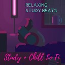 Study Chill Lo Fi - Chicago Is My Turf