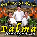Trio Palma Hidalguense - Nieves de Enero