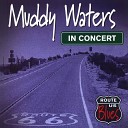 Muddy Waters - Screamin And Cryin