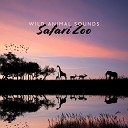 Sound Effects Zone - Safari West Tribal King