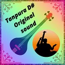 Pt Hari Nath Jha - Male Tanpura D Sharp Original sound