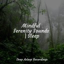 Asian Zen Spa Music Meditation Echoes of Nature White Noise… - In the Dark