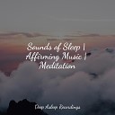 Serenity Spa Music Relaxation Exam Study Classical Music Orchestra Musica Para Dormir y Sonidos de la… - Sleep Now