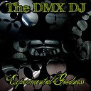 The DMX DJ - Breathe Easy