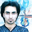 Amin Habibi - Daram Miram