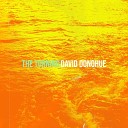 David Donohue - The Turning