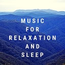 Study Focus - Zen Relax Meditation