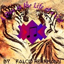 Falco Herrmann - A Day in the Life of a Cat