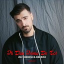 Liviu Teodorescu Zeno Music - Iti Dau Inima De Tot Remix
