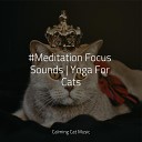 Music for Cats Deluxe Music for Cats Project Jazz Music Therapy for… - A State of Calm