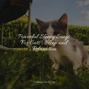Music For Cats Peace Music for Cats Project Jazz Music Therapy for… - Calm Music