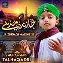 Muhammad Talha Qadri - Rab E Konain