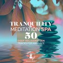 Spa Music Paradise - Relax Your Mind and Body During Massage