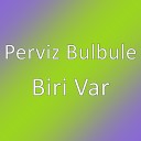 Perviz Bulbule - Biri Var