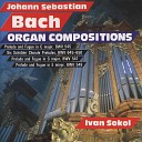 Ivan Sokol - Sch bler Chorale Prelude Meine Seele erhebt den Herren BWV…