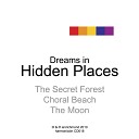 Ian Richmond - The Secret Forest